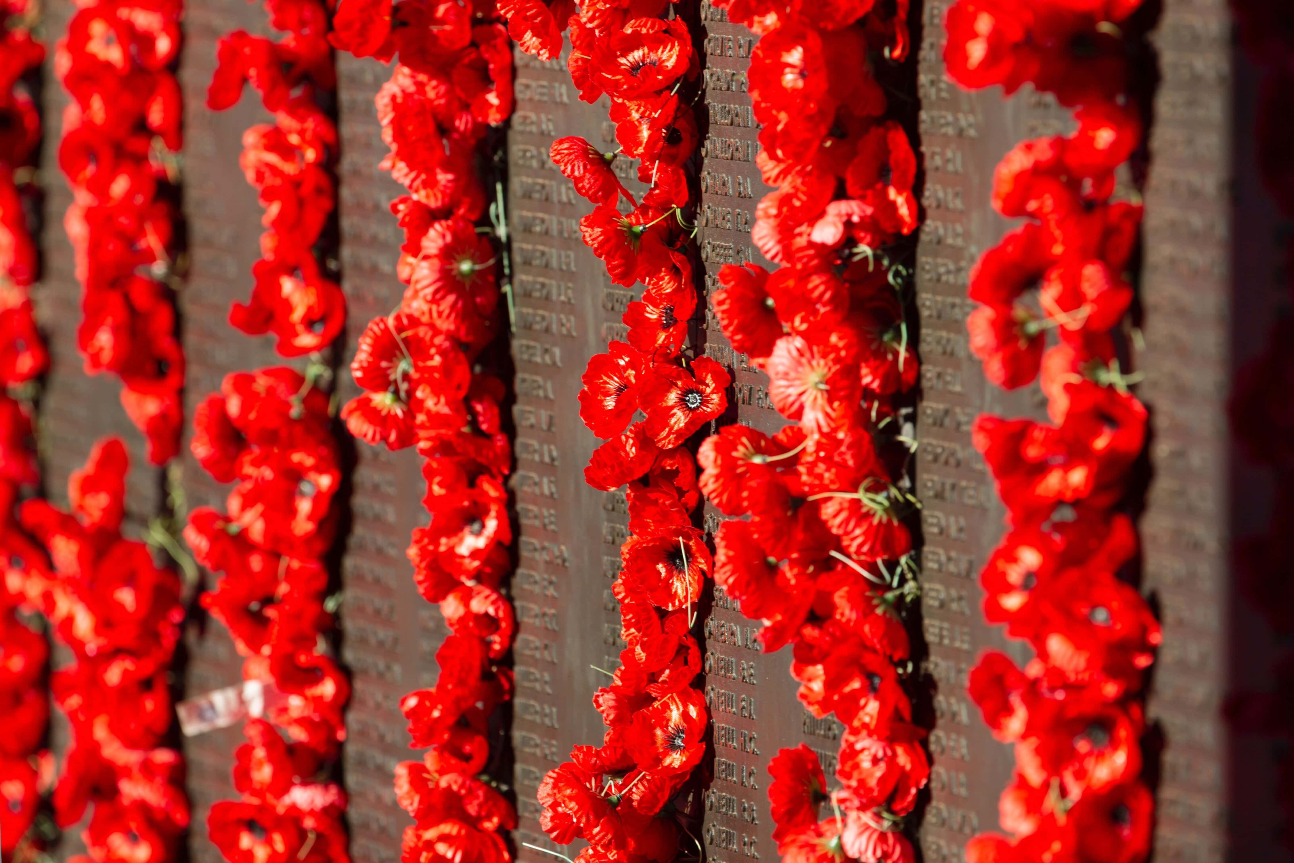 troy-mortier-z3dJzIbLEik-unsplash