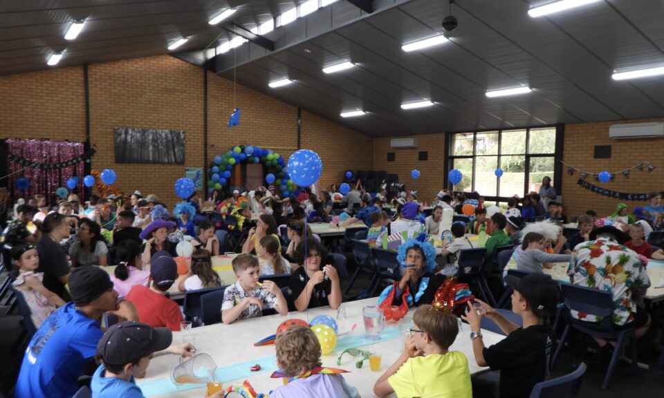 SC Website Gallery 0