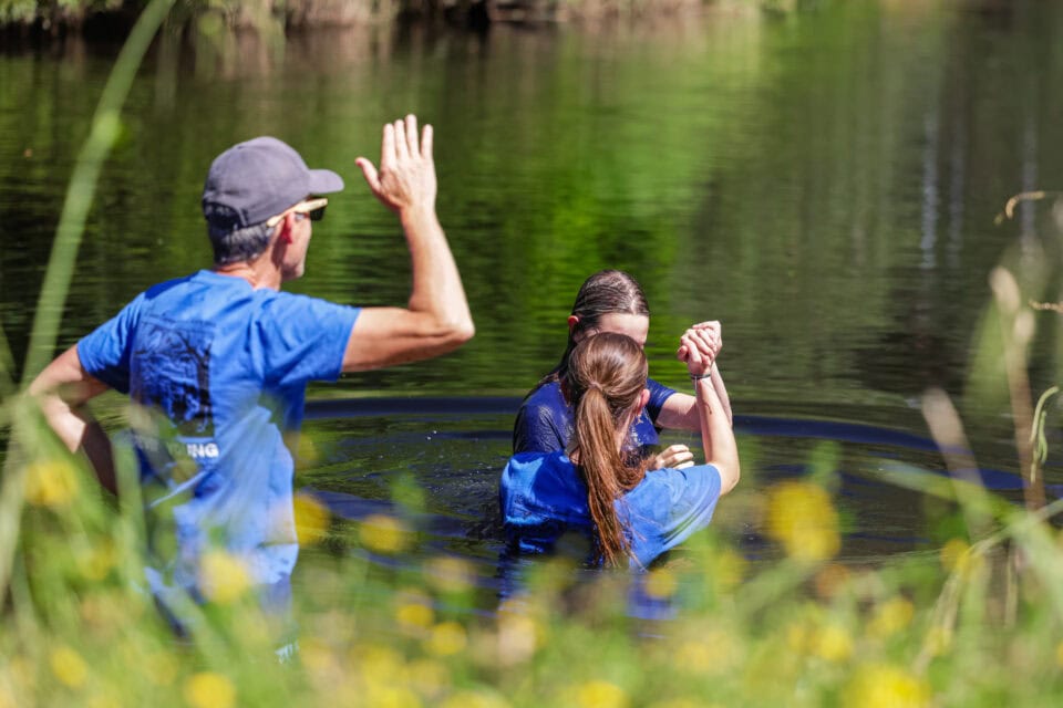 SC Website Gallery 10