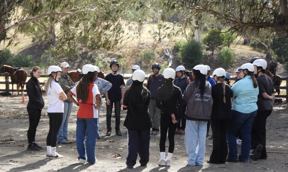 SC Website Gallery 4